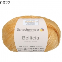 Bellicia Schachenmayr Farbe 22