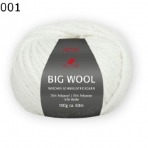 Big Wool Pro Lana Farbe 1