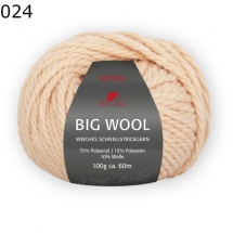 Big Wool Pro Lana Farbe 24