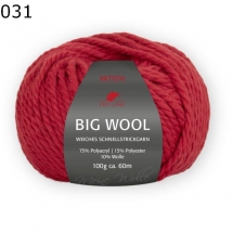 Big Wool Pro Lana Farbe 31