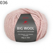 Big Wool Pro Lana Farbe 36