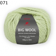 Big Wool Pro Lana Farbe 71
