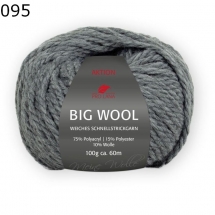Big Wool Pro Lana Farbe 95