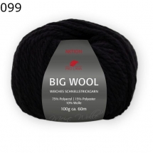 Big Wool Pro Lana Farbe 99
