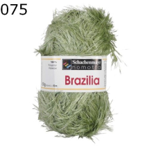 Brazilia Schachenmayr Farbe 28