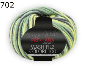Colori 100 Wash Filz Pro Lana Farbe 702