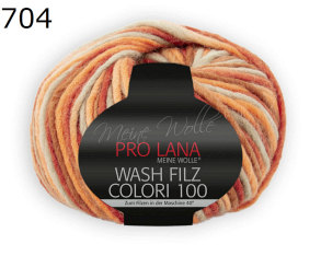 Colori 100 Wash Filz Pro Lana Farbe 704
