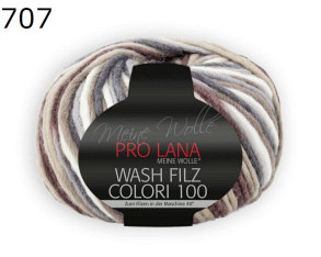 Colori 100 Wash Filz Pro Lana Farbe 707