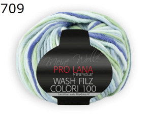 Colori 100 Wash Filz Pro Lana Farbe 709