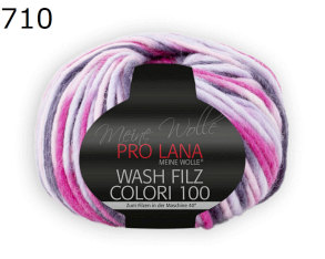 Colori 100 Wash Filz Pro Lana Farbe 710