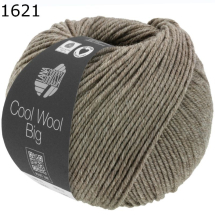 Cool Wool Big melange Lana Grossa Farbe 621