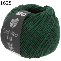 Cool Wool Big melange Lana Grossa Farbe 625