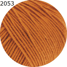 Cool Wool Lana Grossa Farbe 2053