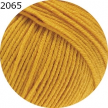 Cool Wool Lana Grossa Farbe 2065