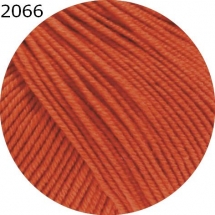Cool Wool Lana Grossa Farbe 2066