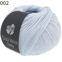 Cool Wool Seta Lana Grossa Farbe 2
