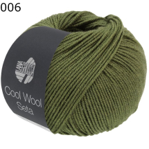 Cool Wool Seta Lana Grossa Farbe 6
