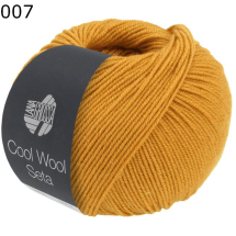 Cool Wool Seta Lana Grossa Farbe 7