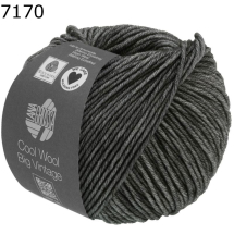 Cool Wool Vintage Big Lana Grossa Farbe 170
