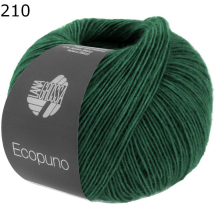 Ecopuno Lana Grossa Farbe 210