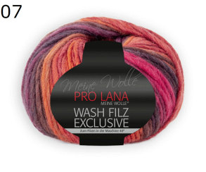 Exclusice Wash Filz Pro Lana Farbe 7