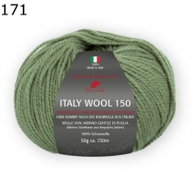 Italy Wool 150 Pro Lana Farbe 171
