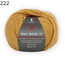 Italy Wool 75 Pro Lana Farbe 222