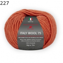 Italy Wool 75 Pro Lana Farbe 227