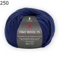 Italy Wool 75 Pro Lana Farbe 250