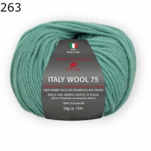 Italy Wool 75 Pro Lana Farbe 263