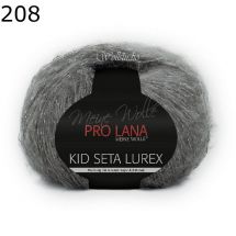 Kid Seta Lurex Pro Lana Farbe 208