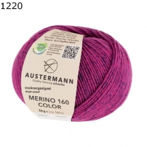 Merino 160 color EXP Austermann Farbe 1220