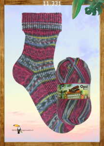 Opal Regenwald 19 Sockenwolle 4f Farbe 331