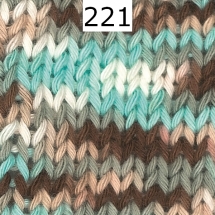 Record 210 Color Schoeller-Stahl Farbe 221