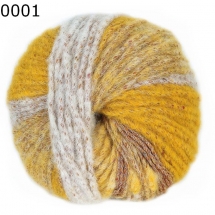 Surprise Knitting Austermann Farbe 1