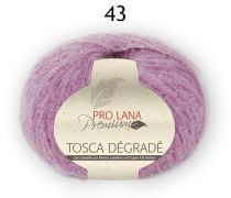 Tosca Degrade Premium Pro Lana Farbe 43