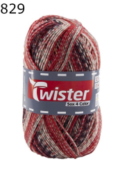 Twister Sox 4 Sockenwolle 22 Farbe 829