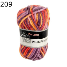 Wash Filz Pro Lana Farbe 209