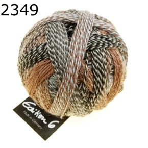 Zauberball Edition 6 Schoppel Wolle Farbe 2349