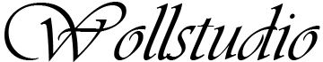 direkt zur Startseite wollstudio.com-Logo